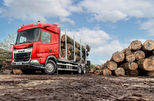 DAF-XF-530-Kurzholztransporter-local-de-web